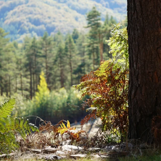 #naturephotography📷 #naturelovers #fotonaturalistica #natura
